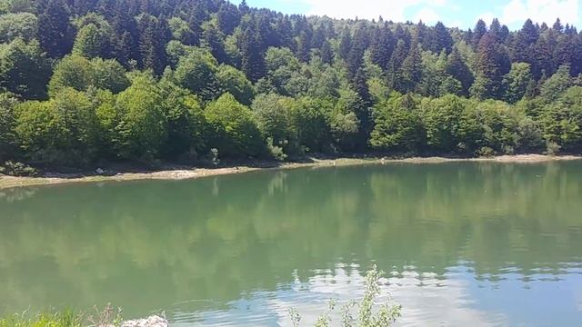 Грузия рача шаори