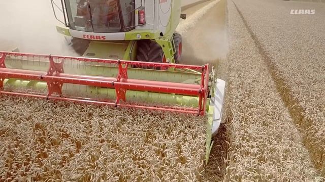 Зерноуборочный комбайн CLAAS TUCANO
