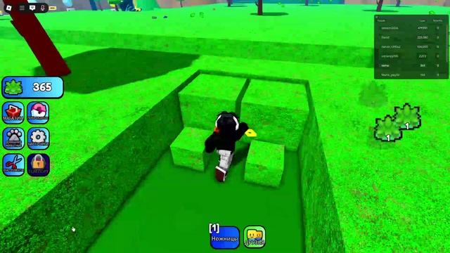 Roblox