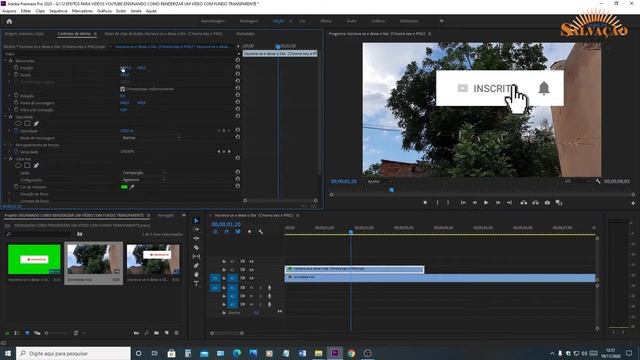 Ensinando como SALVAR VÍDEO COM FUNDO TRANSPARENTE -  CHROMA KEY NO ADOBE PREMIERE 2021