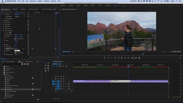 Smooth SPIN + RADIAL Blur Transition in Premiere Pro