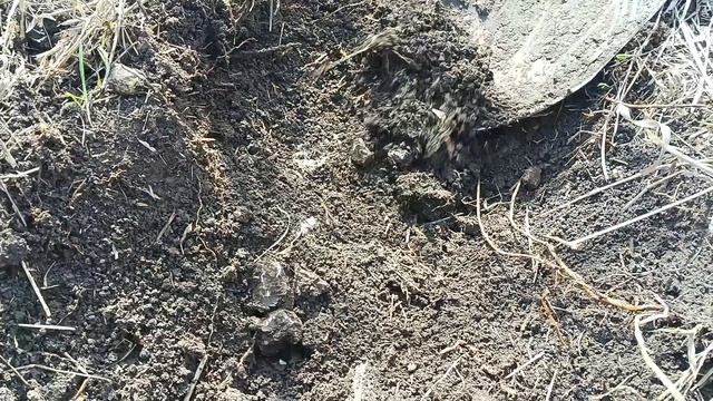 КУЧА МЕТАЛЛА ВДОЛЬ ОБОЧИН 🔥