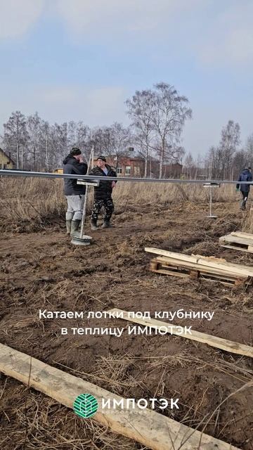 Лотки под клубнику ИМПОТЭК