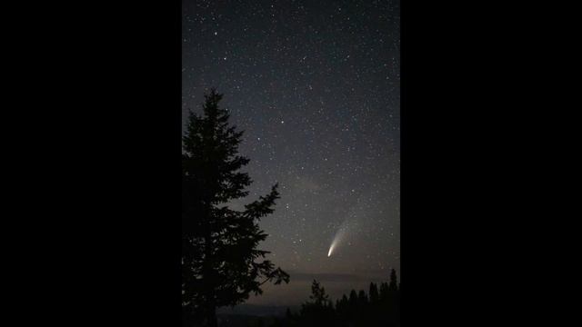 Photographing a Comet - Late Night Trail Adventures