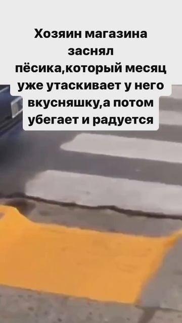 ХихиЧпок Юмор
