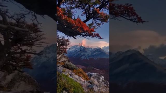 Стихи о жизни | Ожидания.         #моистихи #стихиожизни