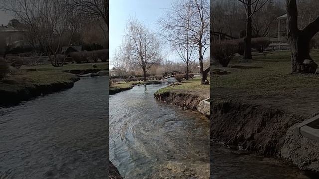 Дорога к пруду