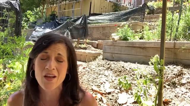 🌞Live: Tips for Keeping Your Garden Going in a Heat Wave (REPLAY)