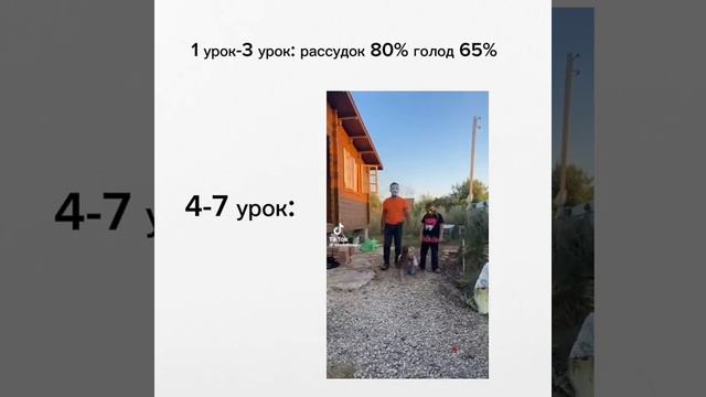 1000083408.mp4