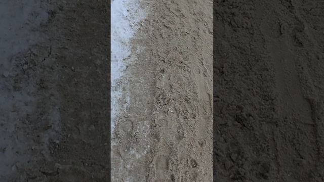 4 марта 2025 г., 15:11:46
Двор Г. Звезда 73 - Красноармейская 52
VID_20250304_150918386