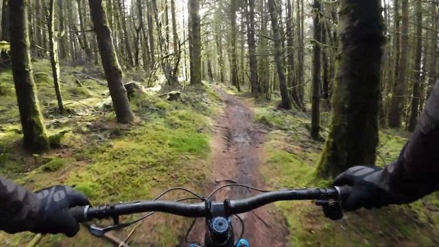 Reviewed | Nukeproof Mega V4 290 Carbon #mtb #nukeproof
