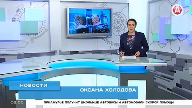 Прямая трансляция пользователя НАШЕ УТРО на Амурском областном телевидении