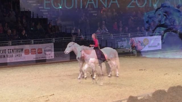 Carla Pelissier отрывок выступления на EQUITANA