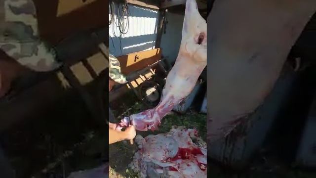 Реальный тест ножа 3 с клинком от Андрея Горшкова