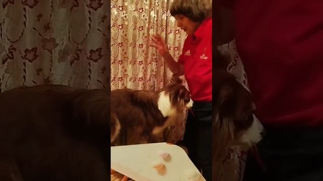Арси математик