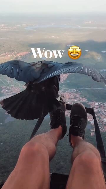 Вау 🤩🤩🤩☎️