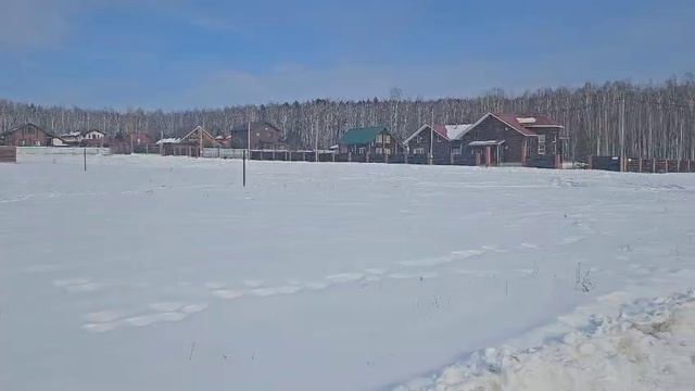Аргази