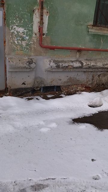 5 марта 2025 г., 14:41:23
Двор П. Осипенко 48
VID_20250305_144114733