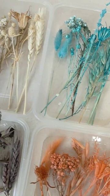 Preserved Mix Flower Bunga Kering Asli Impor Lino Nigella Lagurus Box Hias Dekor Pajangan Rumah