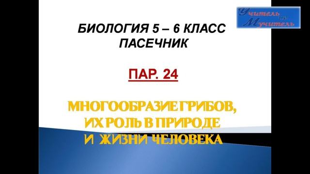 слушать урок биологии пар.24, 5 - 6 класс, Пасечник, Многообразие грибов