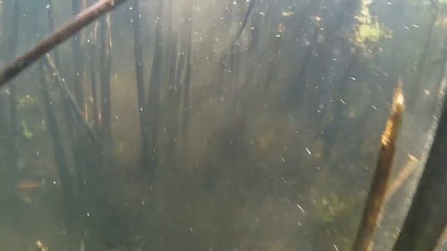 VID00157