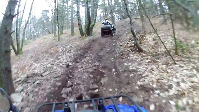 Yamaha Grizzly 450 VS 660 [Liquid Image HD 720]