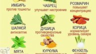 НАШИ СПЕЦИИ
