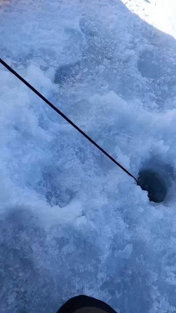 Что делать что бы не вырвало колышки на палатке весной? Лайфхак