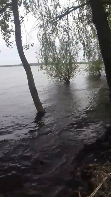 речка Самара