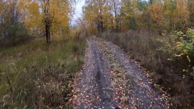 Estonia enduro roads on BMW R1200GS Adventure