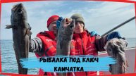 Морская рыбалка, речная рыбалка, трофейная рыбалка на Камчатке с Камберинг на катамаранах.
