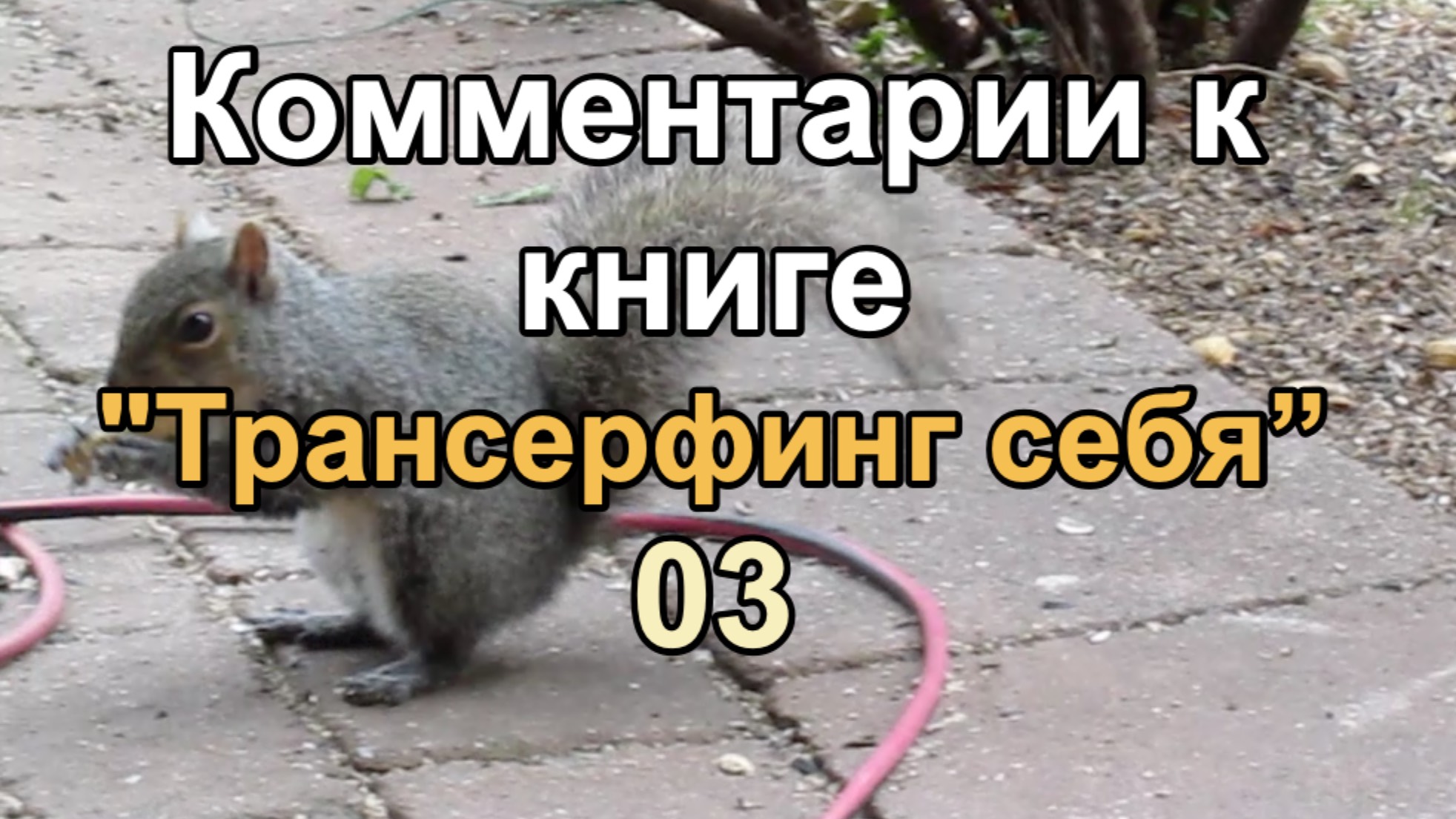 Комментарии к книге "Трансерфинг себя" 03