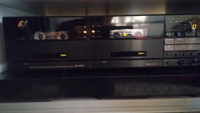 Sansui DW 11