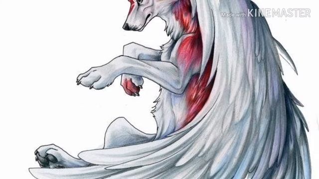 | Клип |  Волки~Фредди