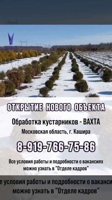 Открытие нового объекта❗️