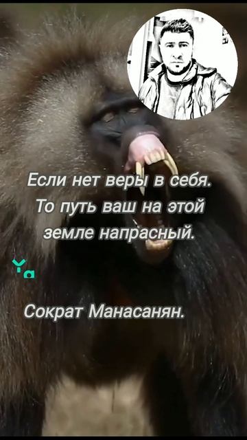 цитаты, афоризмы, стихи .... мудрость