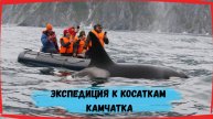 Участвуй в научной Экспедиции к косаткам на Камчатке