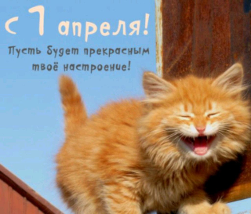видеообзор на телевизор шарп