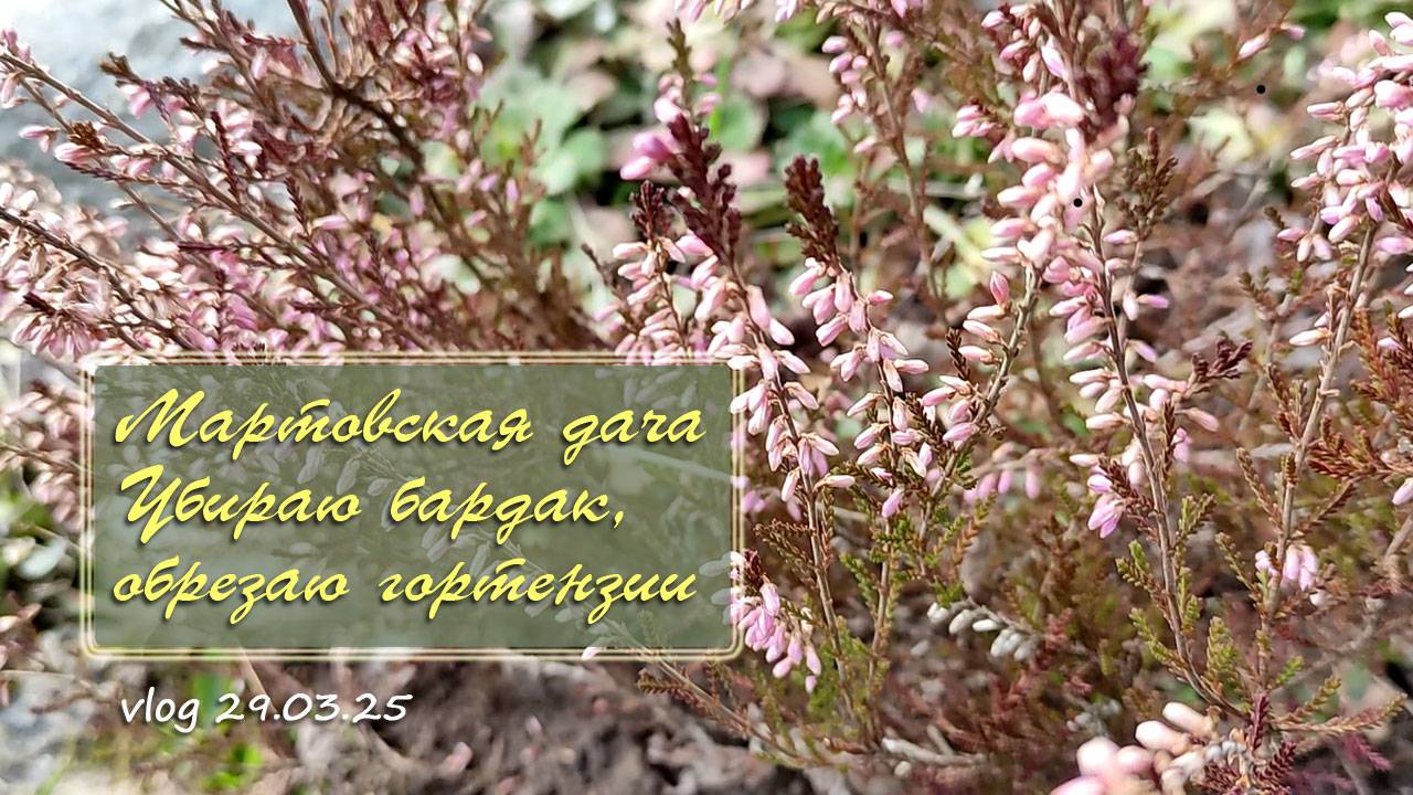 Снова на даче. Мартовские делишки. Убираю бардак, обрезаю гортензии / Vlog Дача как есть 29.03.2025