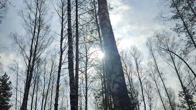 Прогулка по Полянам
