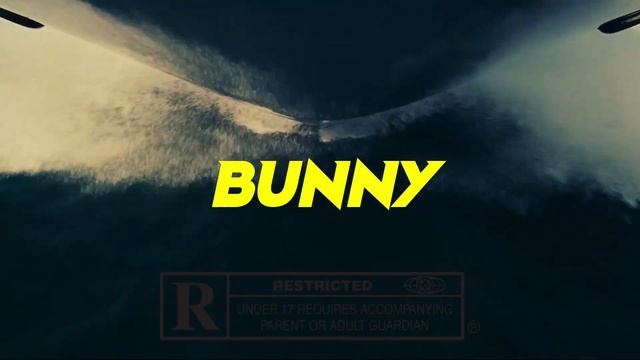 (FREE) Swae Lee x Bad Bunny - "Bunny" | Dancehall x Afro Type Beat 2021