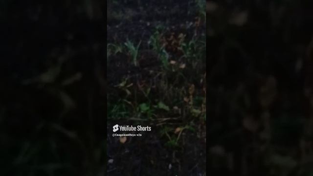 1000033104.mp4