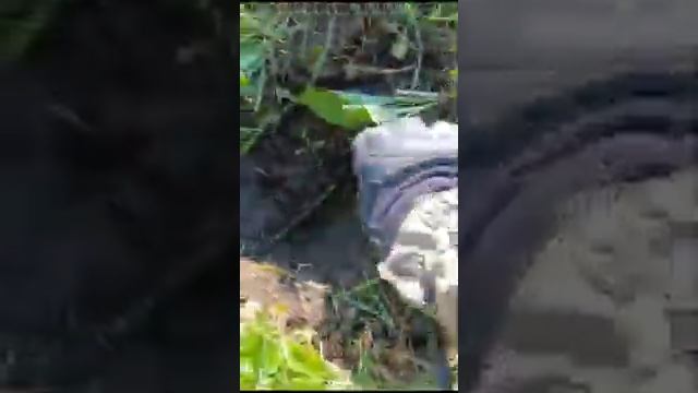 1000033106.mp4
