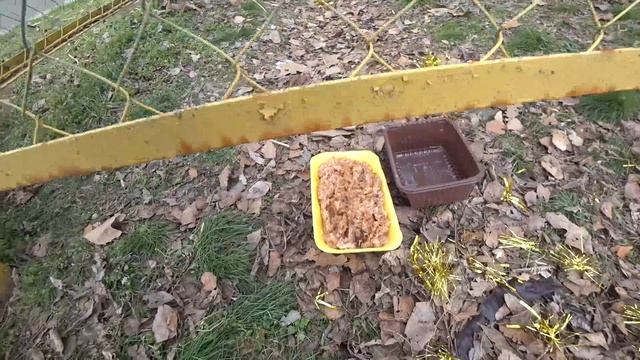 20 км.по Славянску, много куда зашли