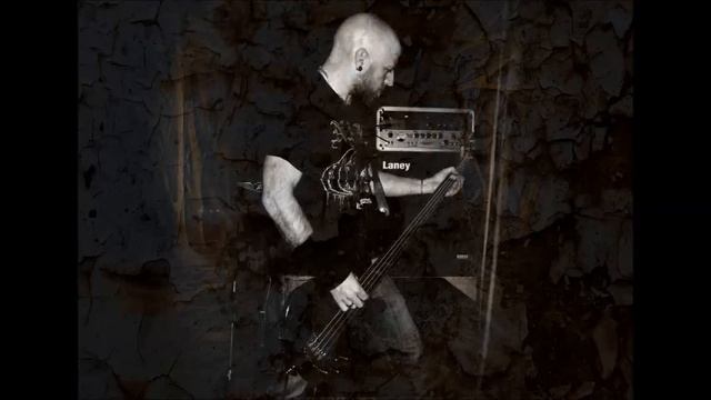 Deviated Instinct - Brave New Herd