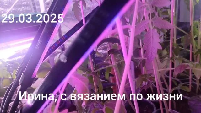Влог с 24 по 30 марта 2025г