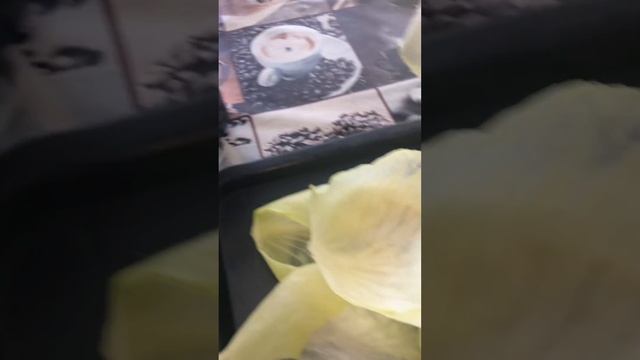 Голубцы любимое блюдо