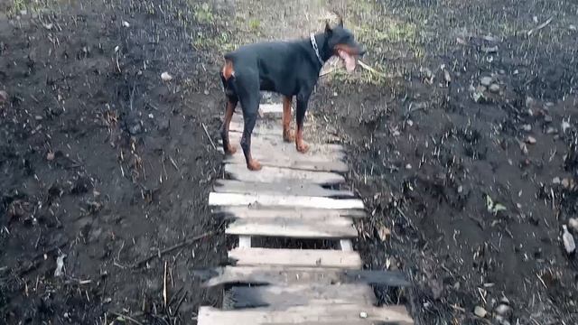 Как так можно ловить рыбу???!!!