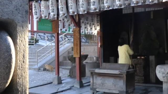 祈りの情景