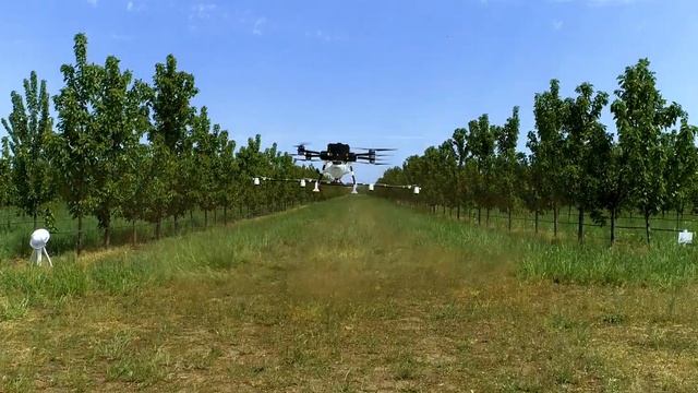Drone Plus Ultra - Permetezés a cseresznyésben